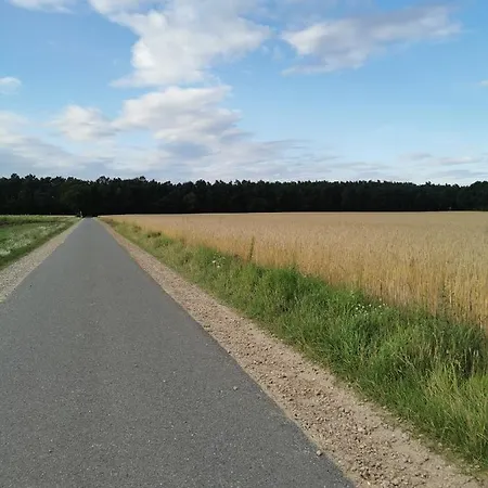 Moderne In Ruhiger Lage